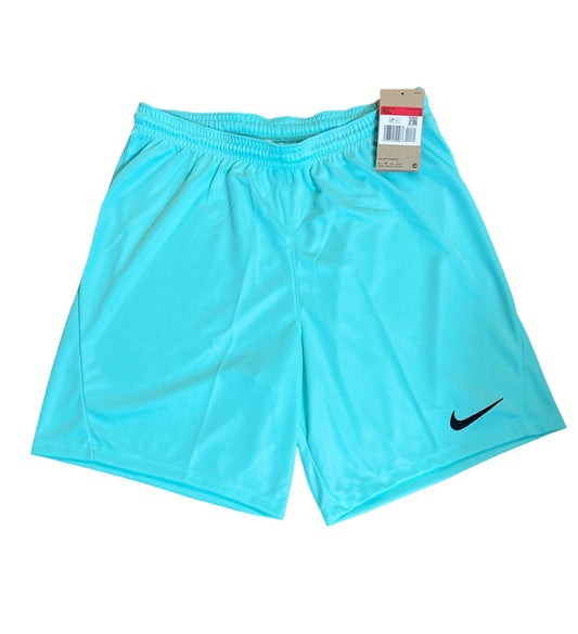 NIKE DRI-FIT SHORTS - MINT