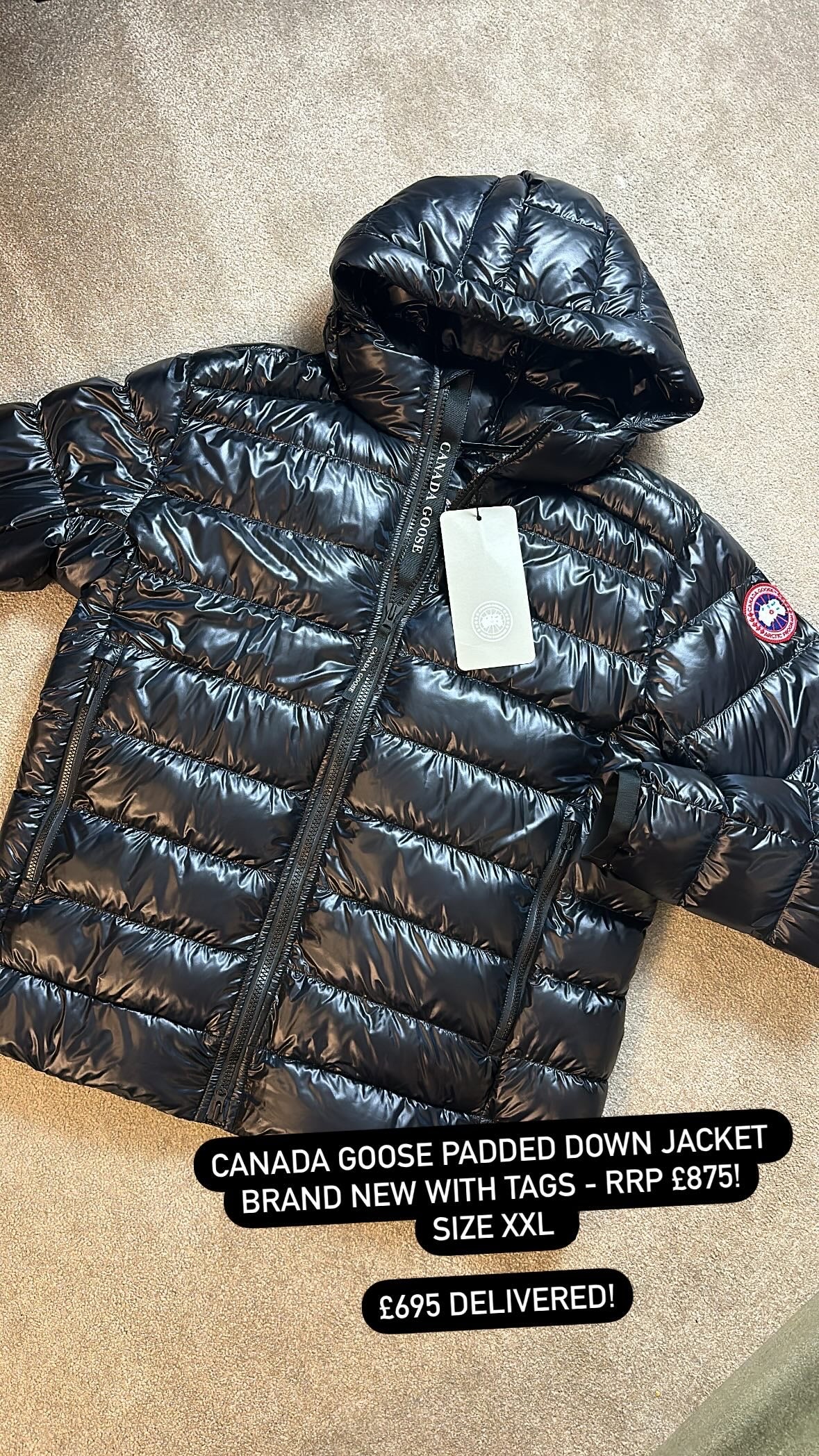 CANADA GOOSE CROFTON LOGO DOWN PADDED JACKET - BLACK